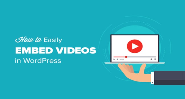 Nhúng video, liên kết, Multimedia trên WordPress